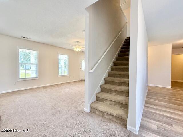 1120 Ben Williams Road Richlands, NC 28574 - Photo 5 of 31 IMG_4074