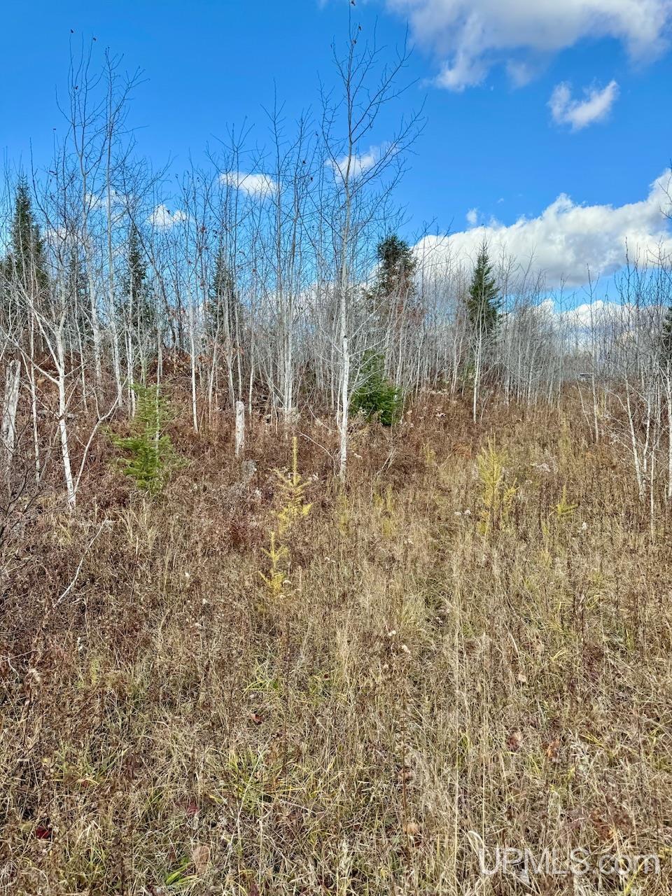 27.5 Rd 28 Acres Trail Gladstone, MI 49837 - Photo 19 of 24