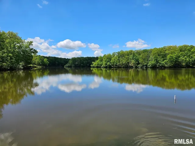 a view of a lake in between two large trees