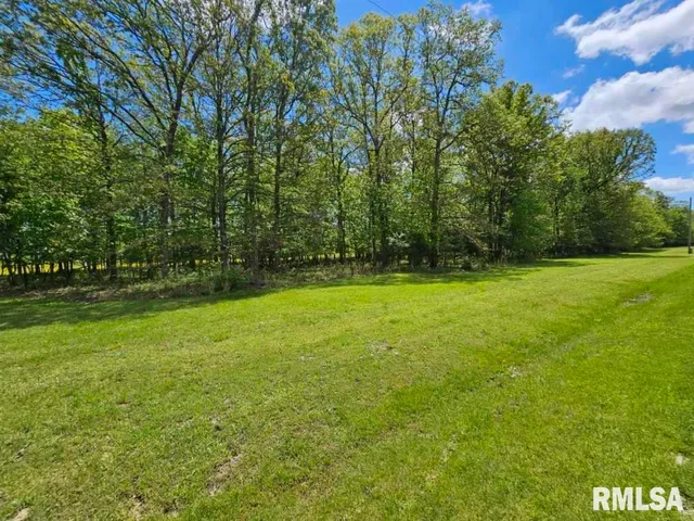 a view of a field with trees in the background