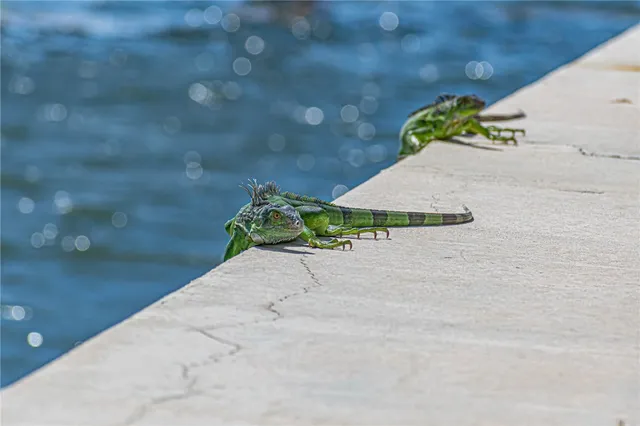 a vase of flowers sitting on a table