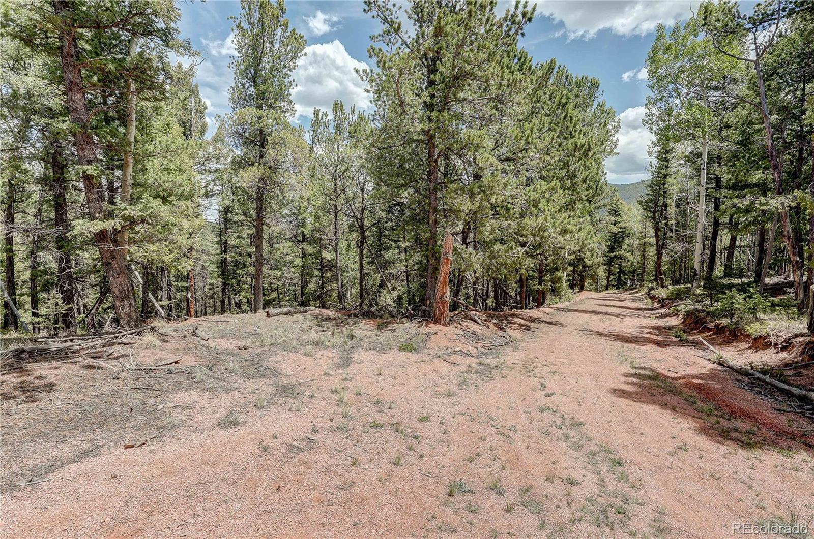 59 Robin Point Divide, CO 80814 - Photo 16 of 30 a view of a yard with trees