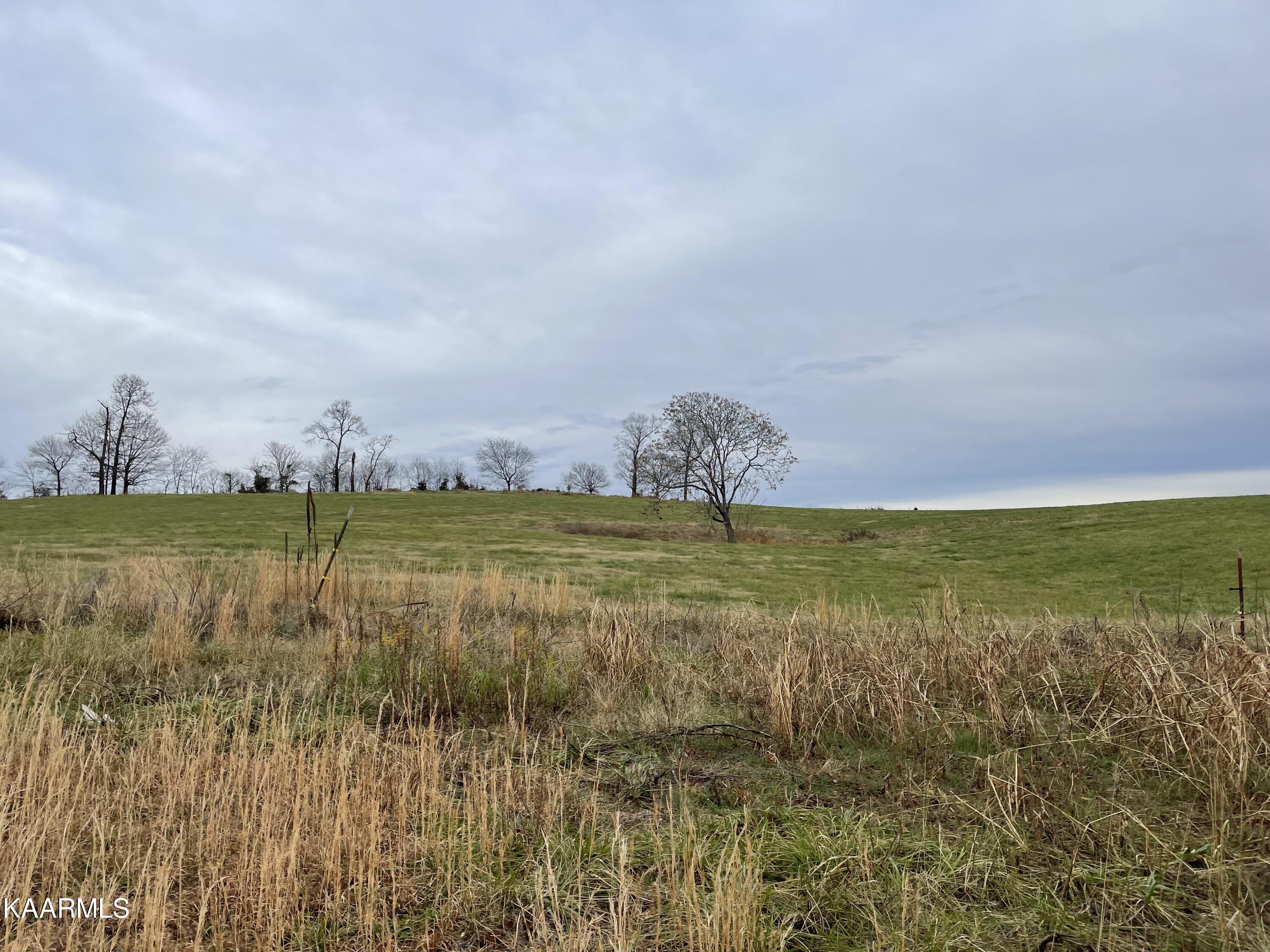 Lot 81 Howell River Road Rutledge, TN 37861 - Photo 3 of 3 IMG_4095