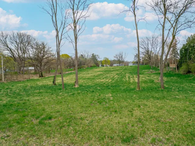 a view of a park with large trees