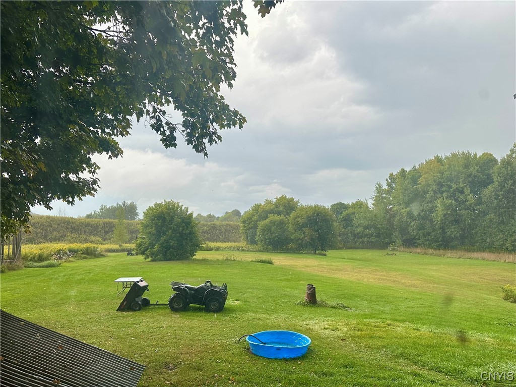 6749 Rugg Road Leyden, NY 13433 - Photo 23 of 28 Back Yard
