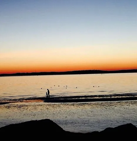 a view of a balcony with chairs and a potted plant