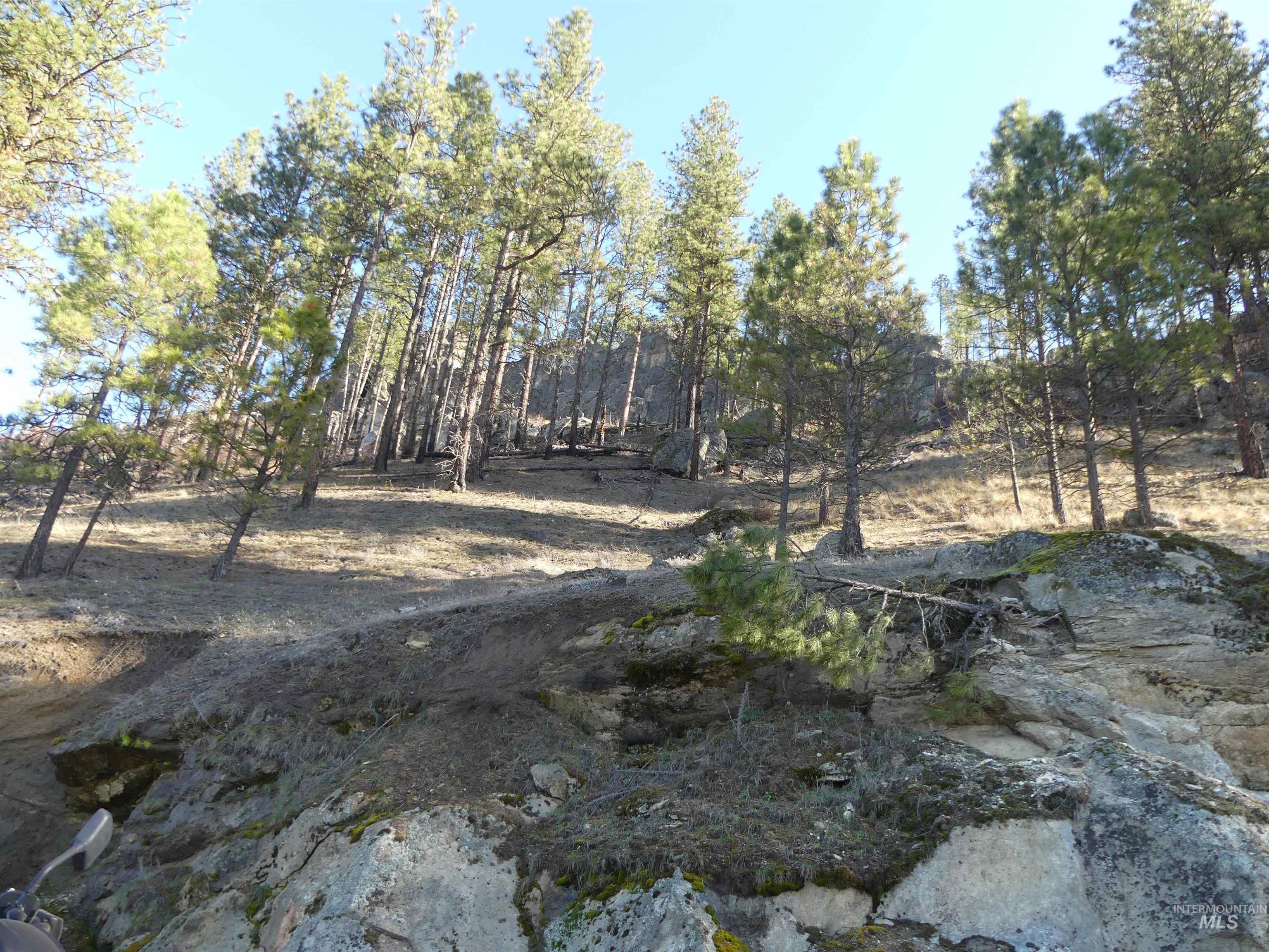 1408 Carrot Ridge Road Kamiah, ID 83536 - Photo 37 of 48