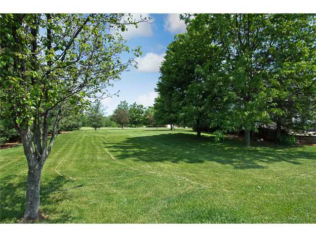 6000 Plumb Road Galena, OH 43021 - Photo 6 of 7 Gallery Image 6