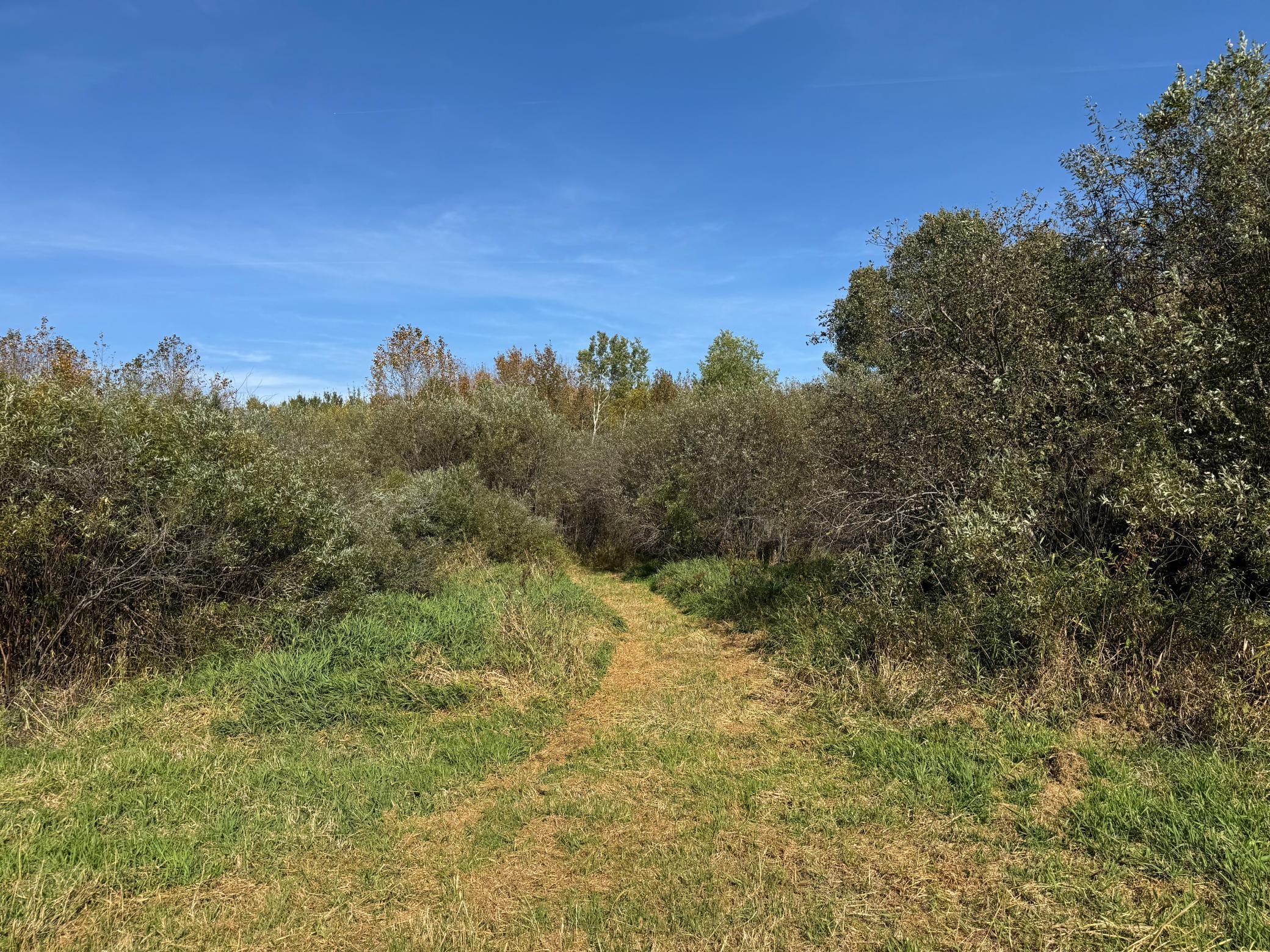 0 460th Lane Palisade, MN 56469 - Photo 12 of 25