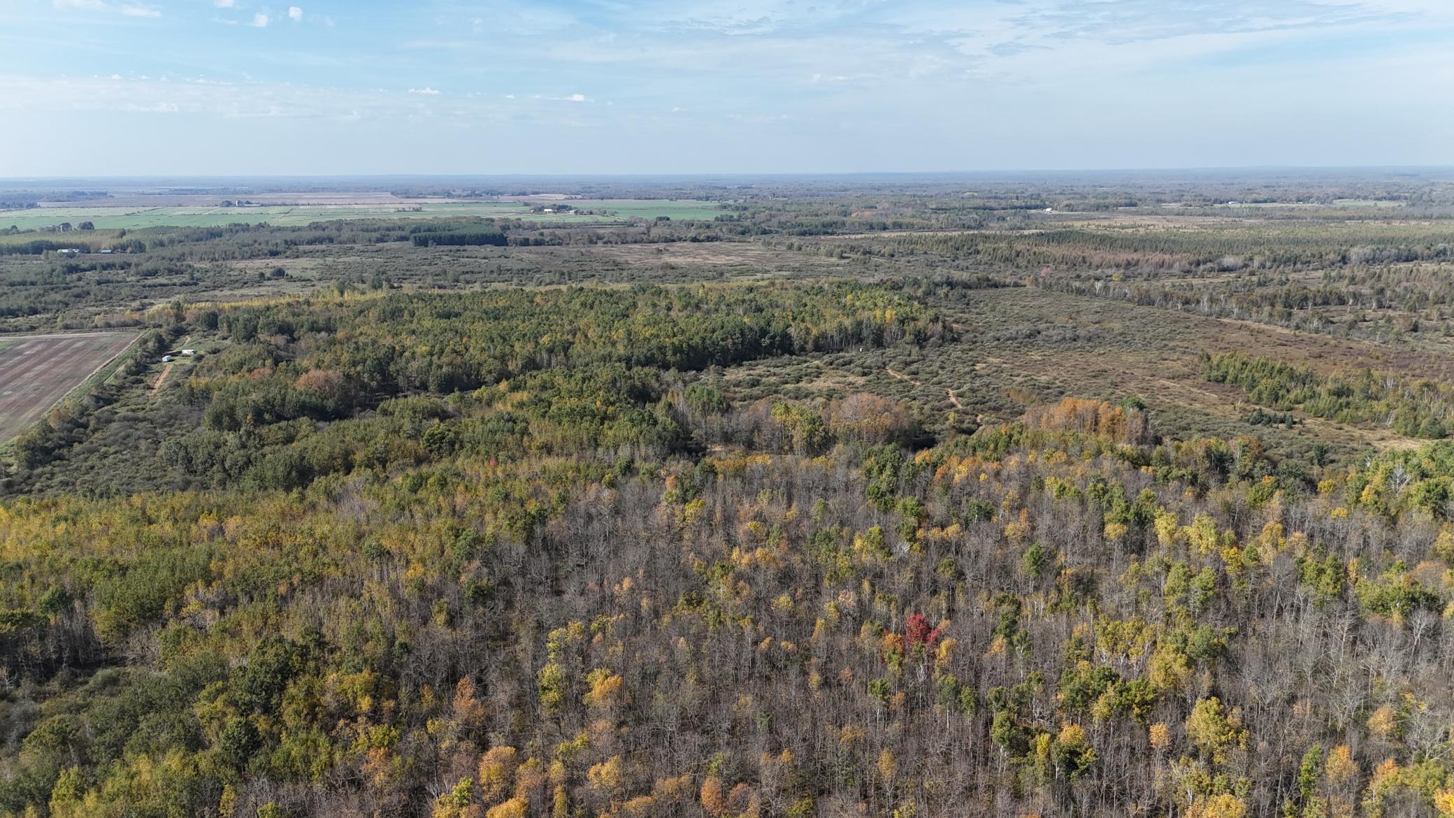 0 460th Lane Palisade, MN 56469 - Photo 14 of 25