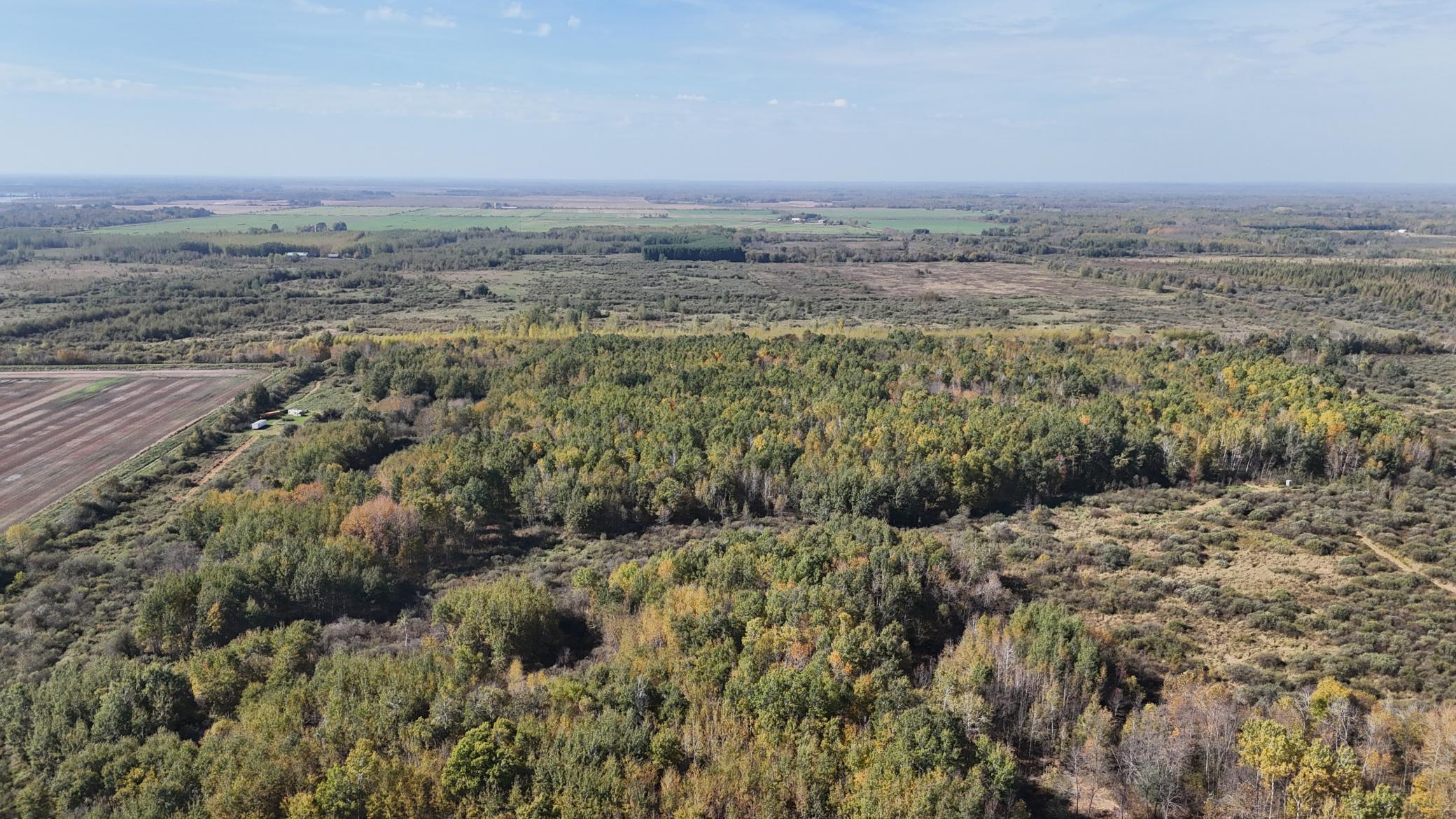 0 460th Lane Palisade, MN 56469 - Photo 15 of 25