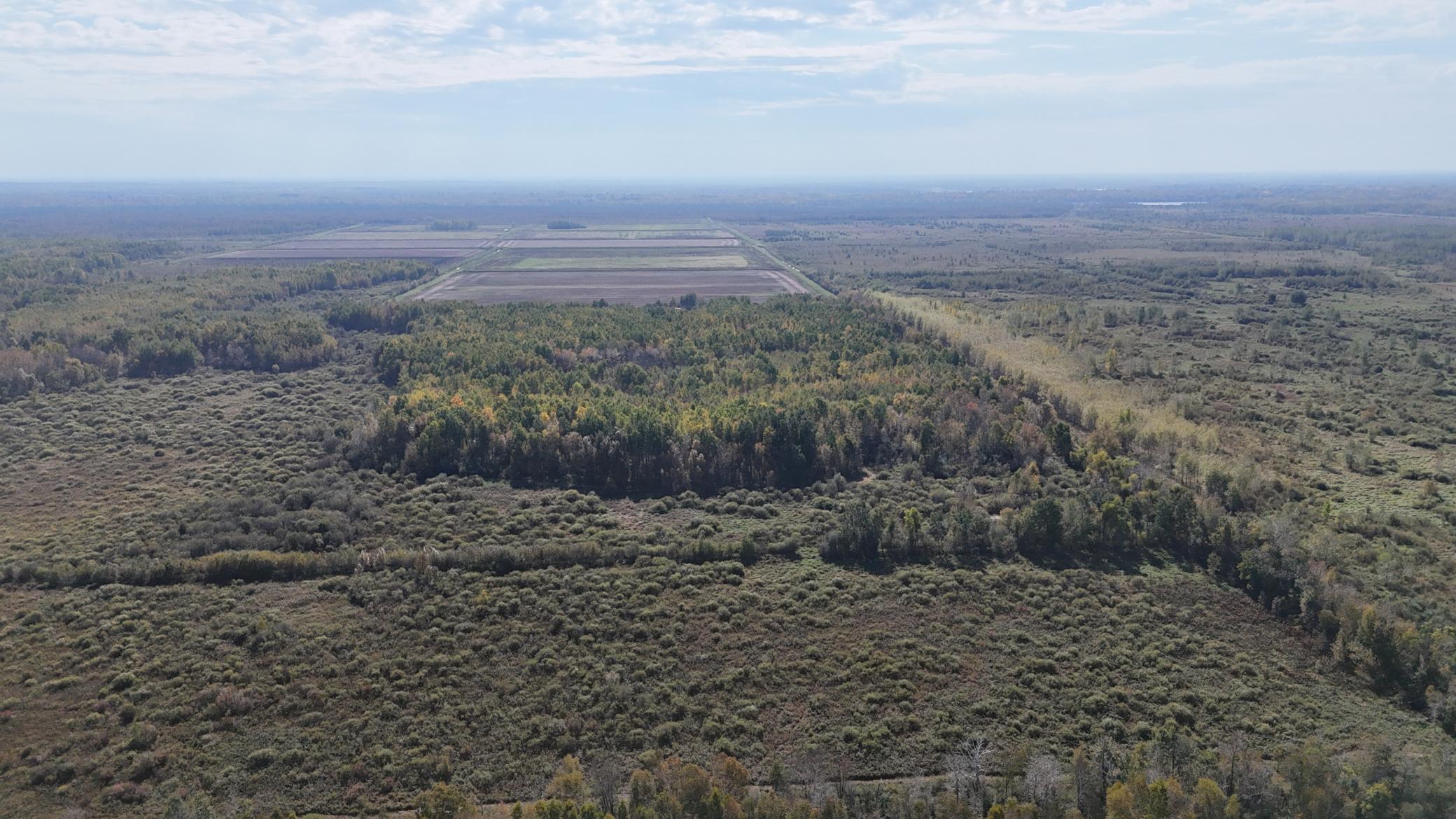 0 460th Lane Palisade, MN 56469 - Photo 16 of 25