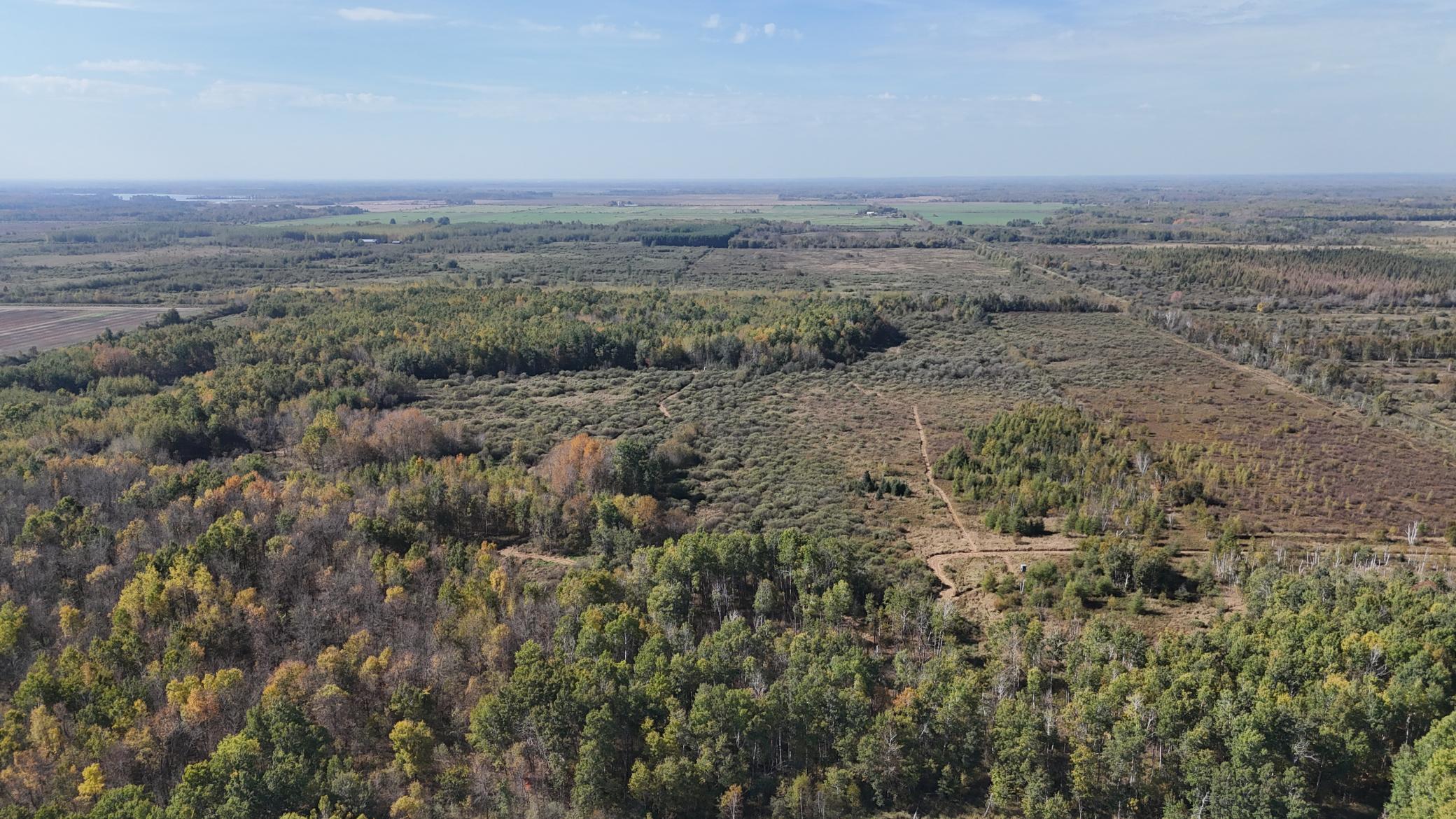 0 460th Lane Palisade, MN 56469 - Photo 17 of 25