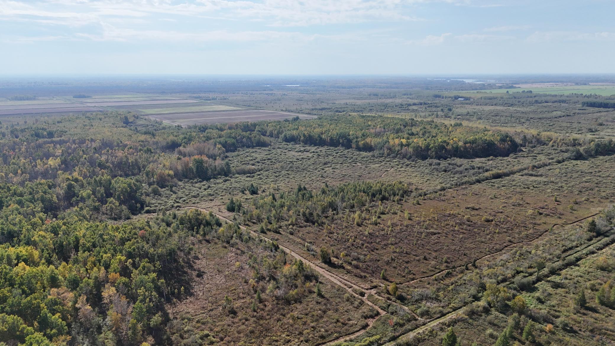 0 460th Lane Palisade, MN 56469 - Photo 18 of 25