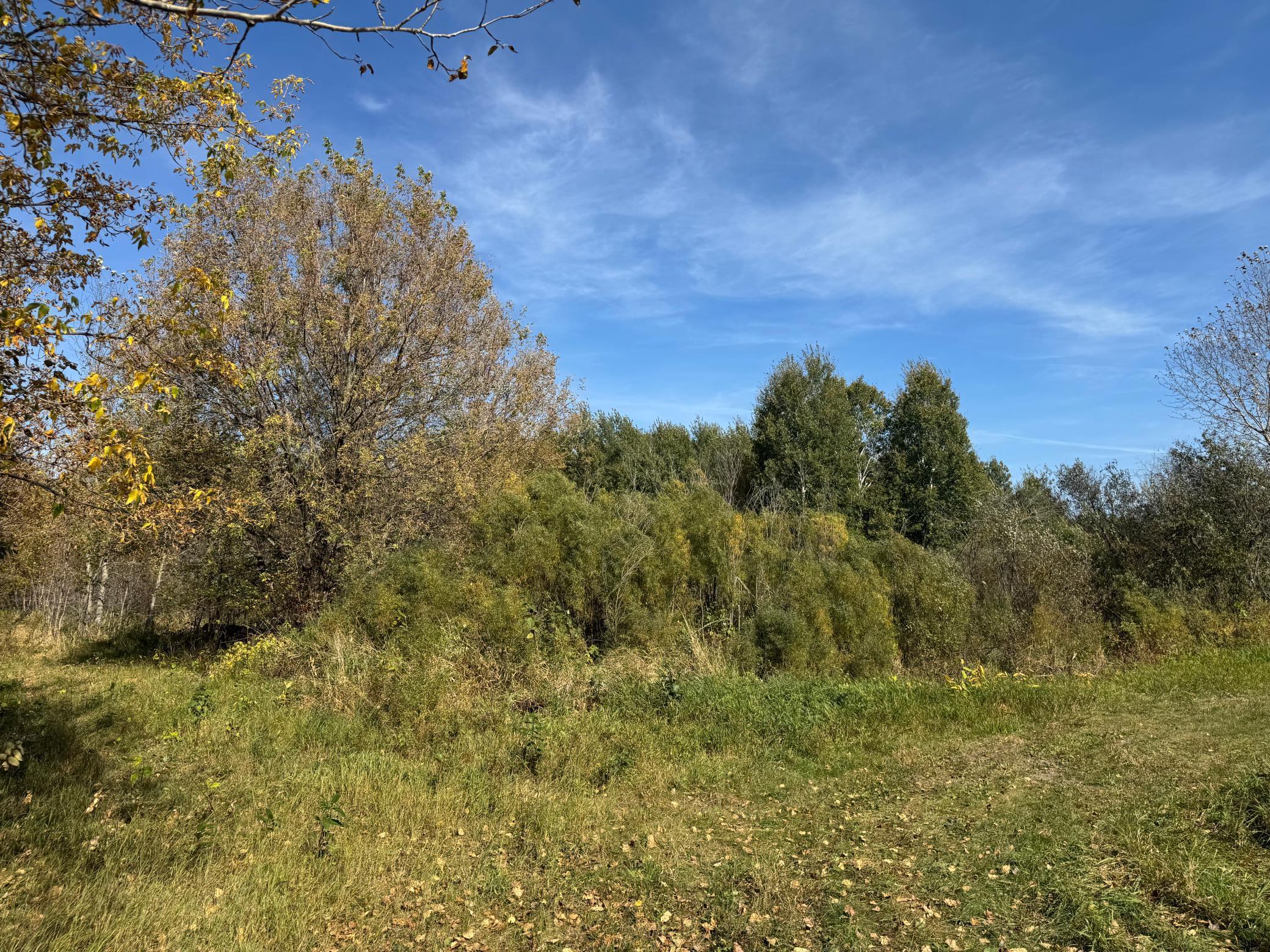 0 460th Lane Palisade, MN 56469 - Photo 20 of 25