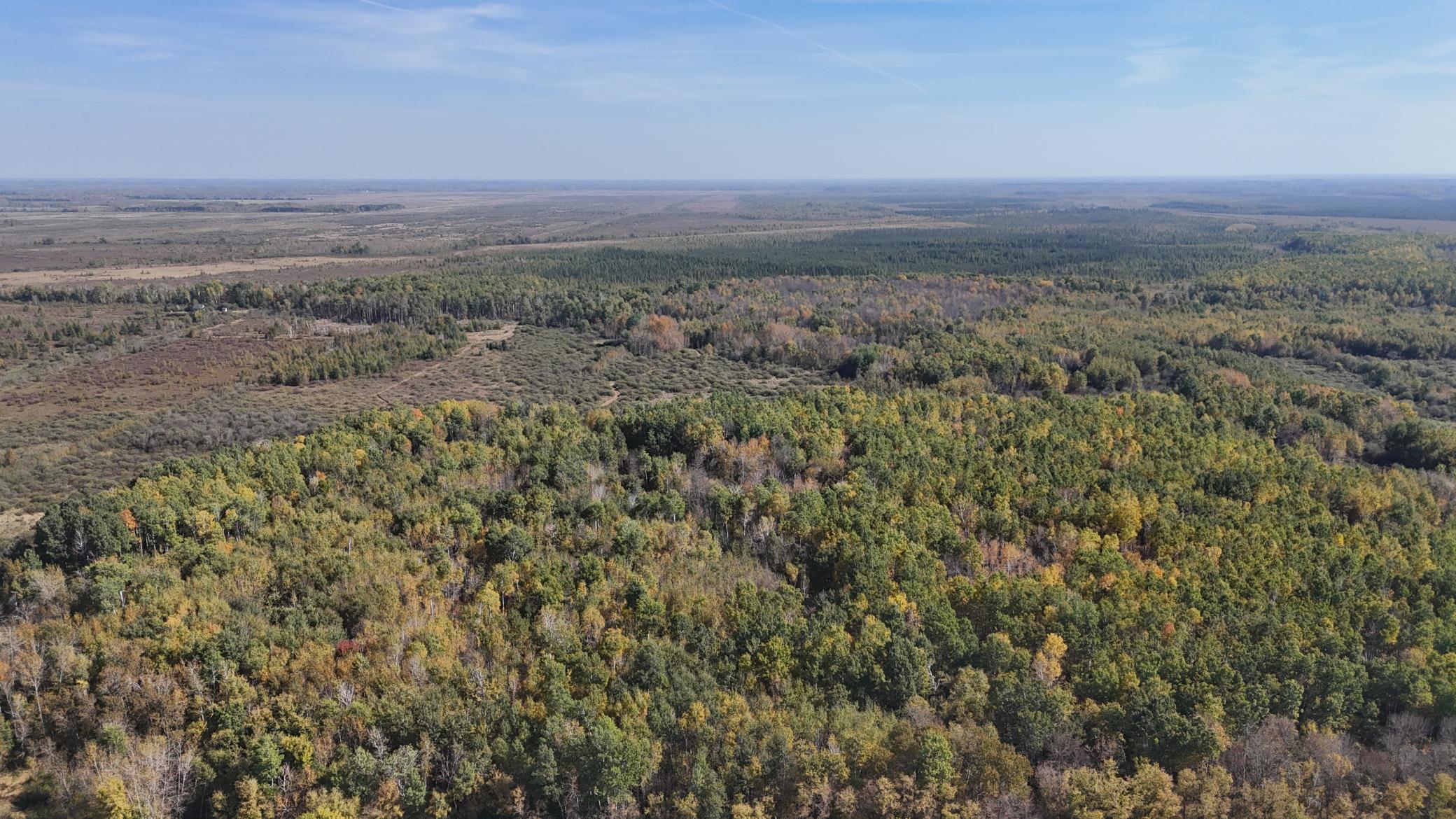 0 460th Lane Palisade, MN 56469 - Photo 21 of 25