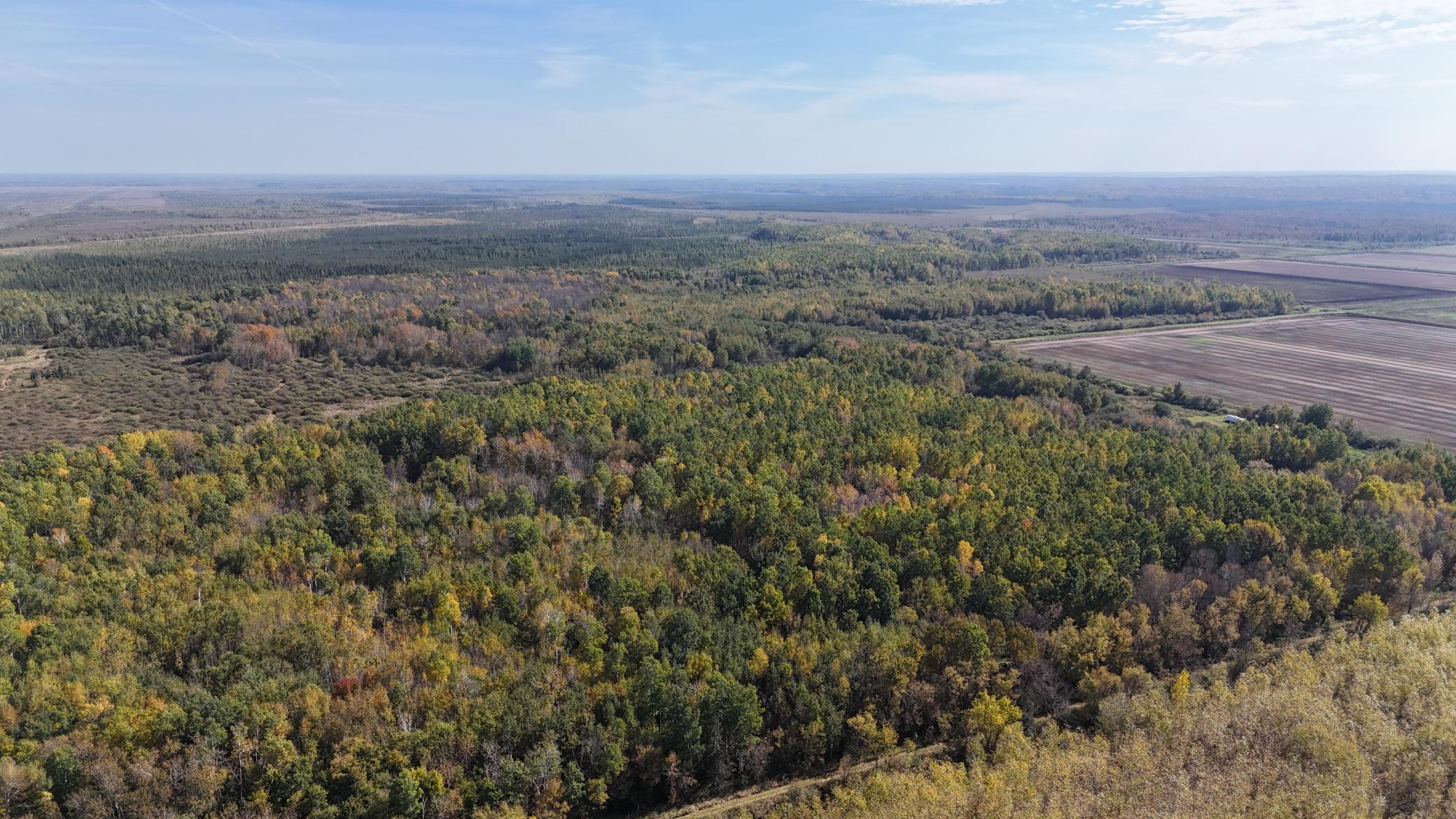 0 460th Lane Palisade, MN 56469 - Photo 22 of 25
