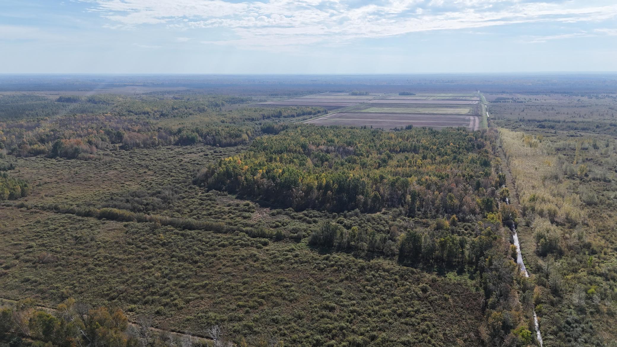 0 460th Lane Palisade, MN 56469 - Photo 23 of 25