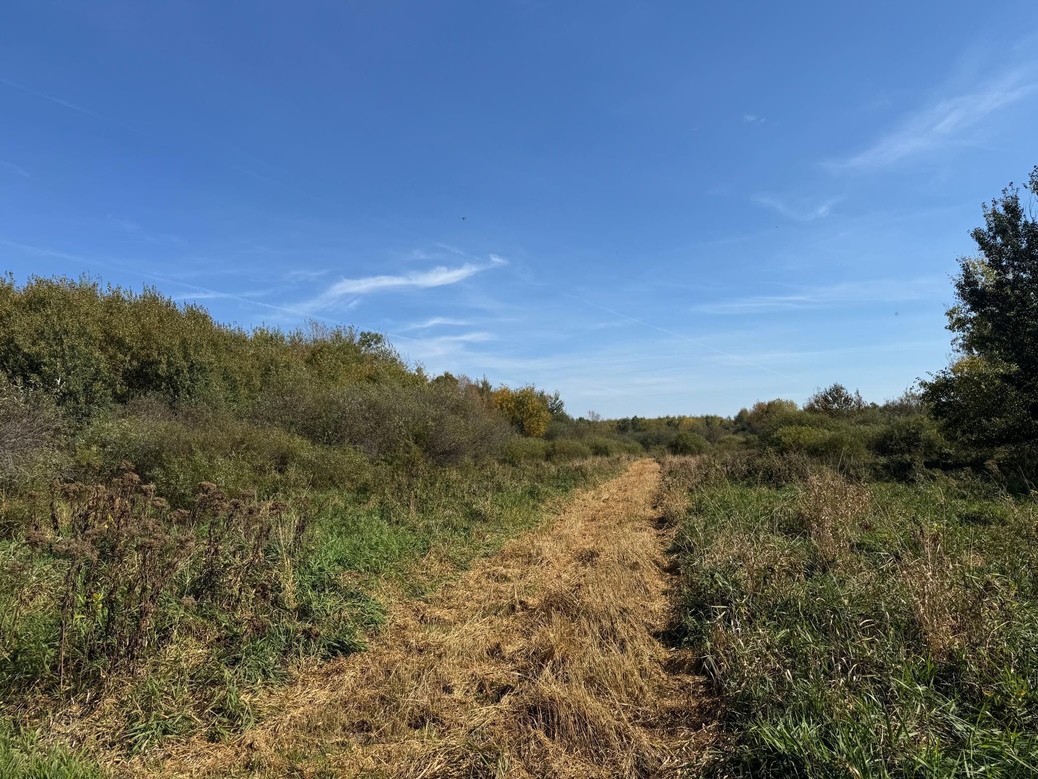0 460th Lane Palisade, MN 56469 - Photo 6 of 25