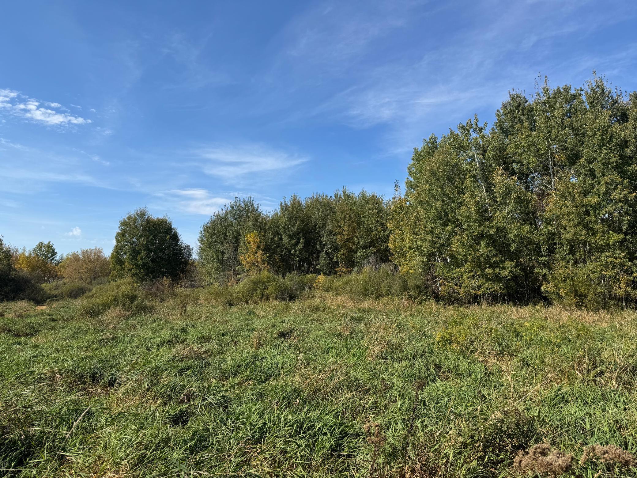 0 460th Lane Palisade, MN 56469 - Photo 9 of 25