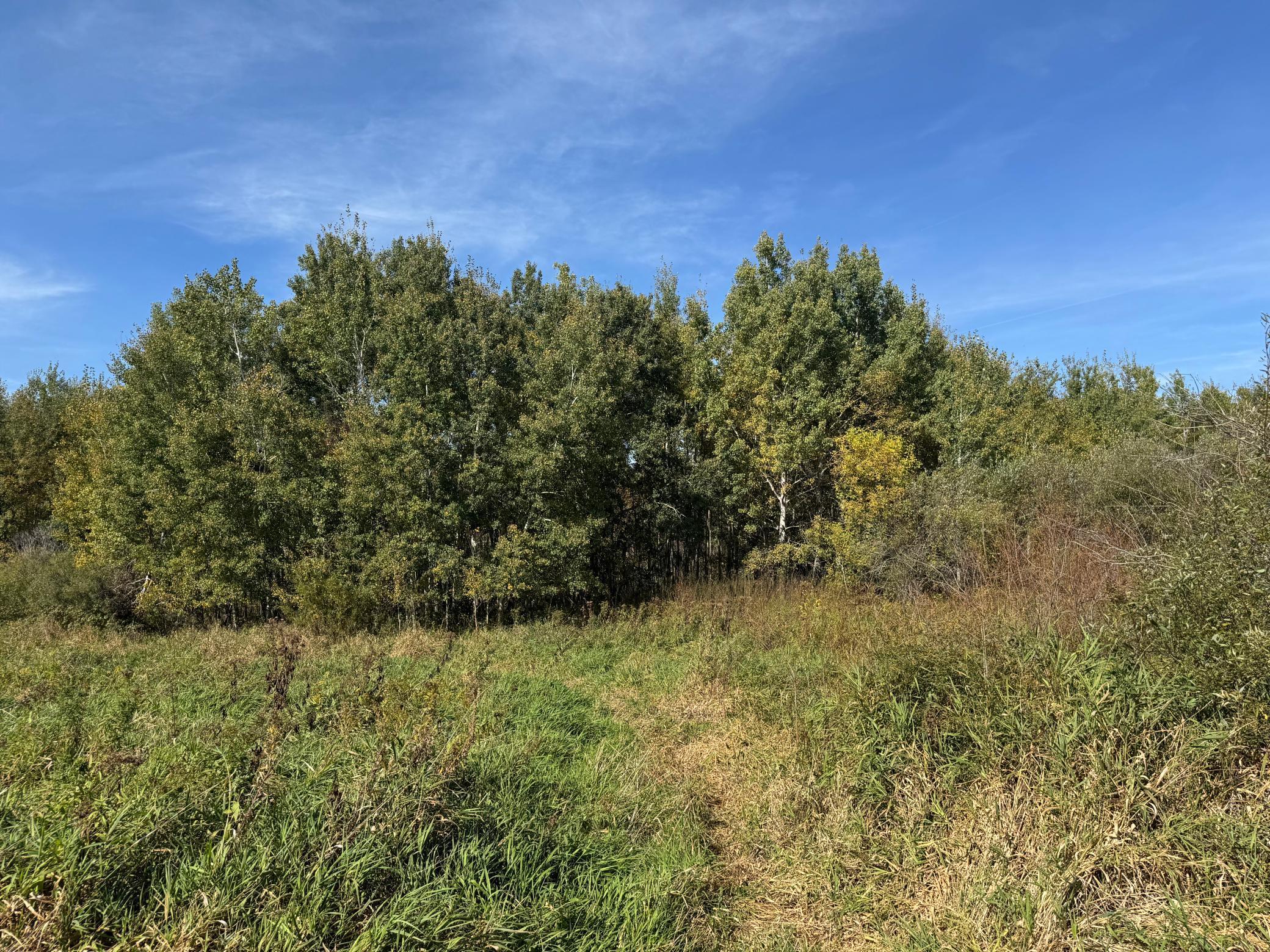 0 460th Lane Palisade, MN 56469 - Photo 10 of 25