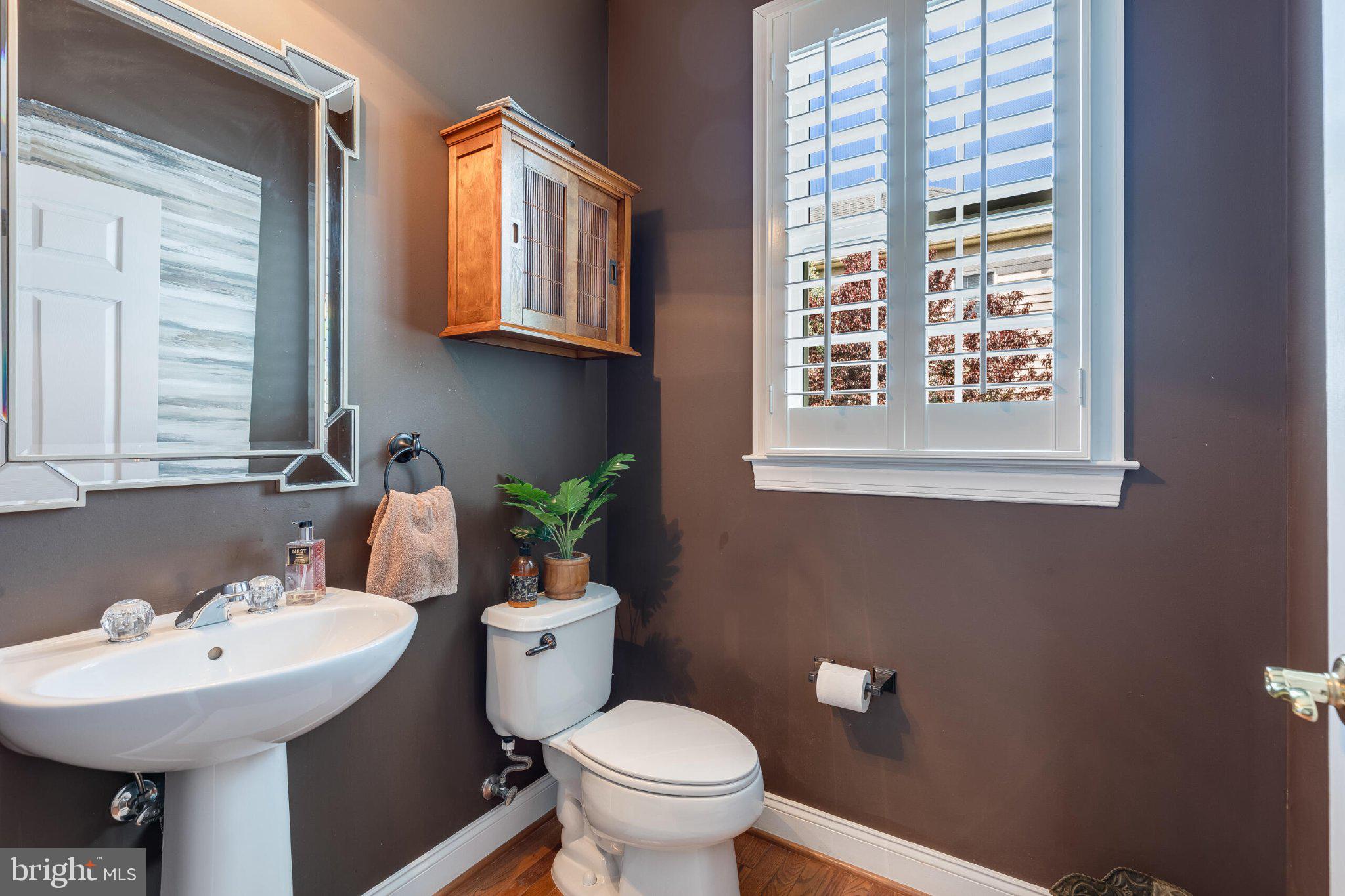 25554 Mimosa Tree Court Chantilly, VA 20152 - Photo 45 of 85 Chic half-bath with modern accents.
