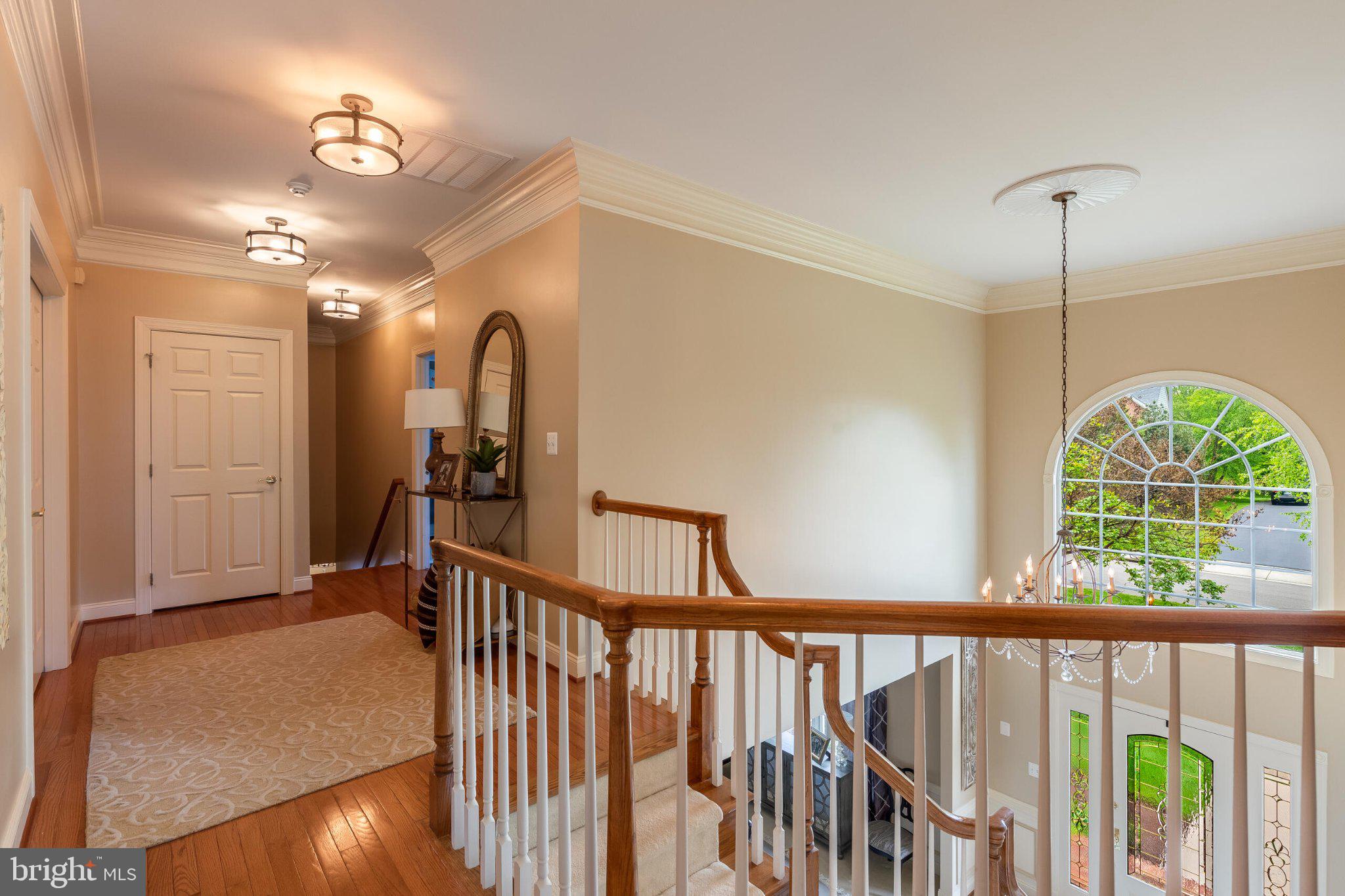 25554 Mimosa Tree Court Chantilly, VA 20152 - Photo 46 of 85 Elegant foyer with natural light.