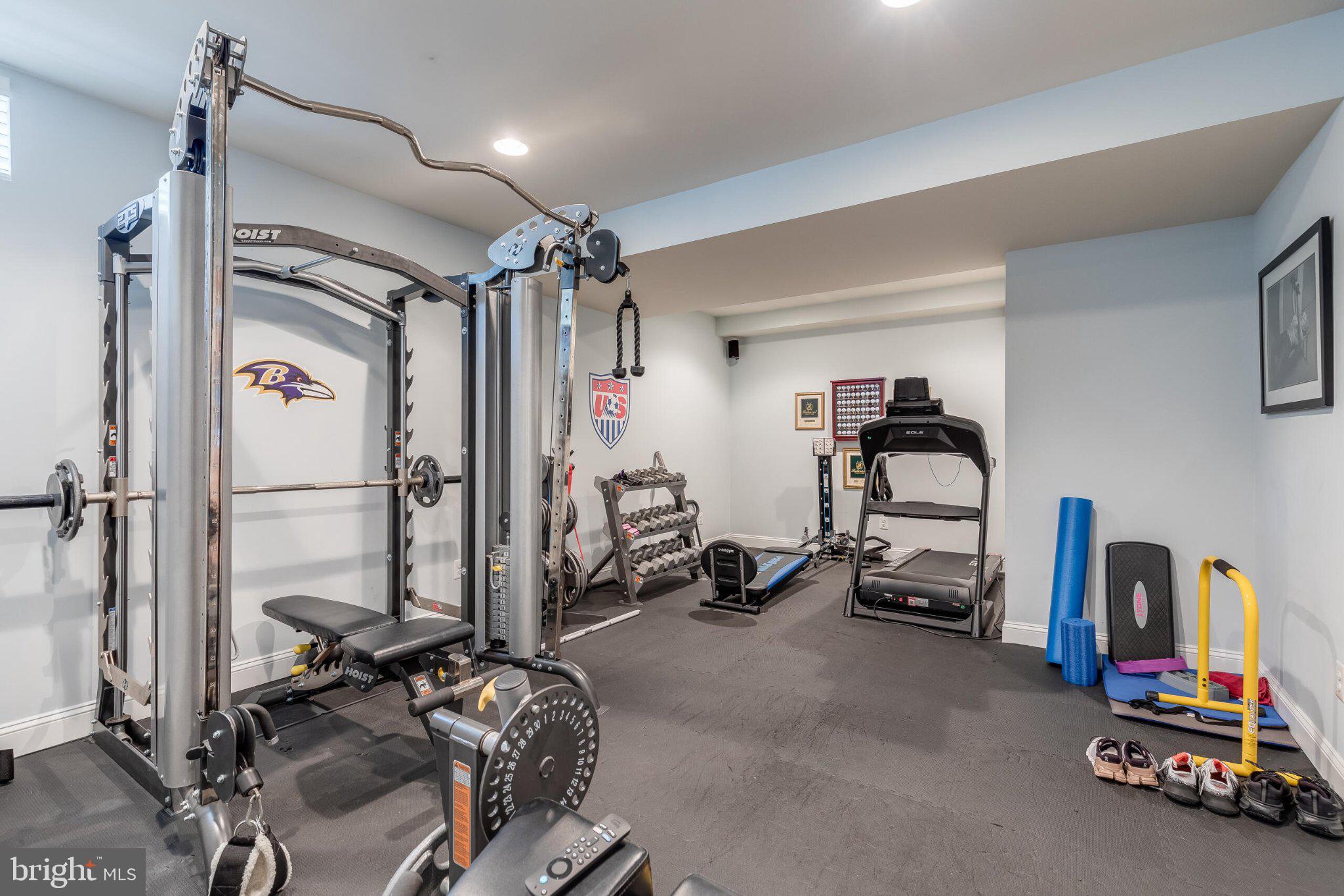 25554 Mimosa Tree Court Chantilly, VA 20152 - Photo 69 of 85 a view of a room with gym equipment