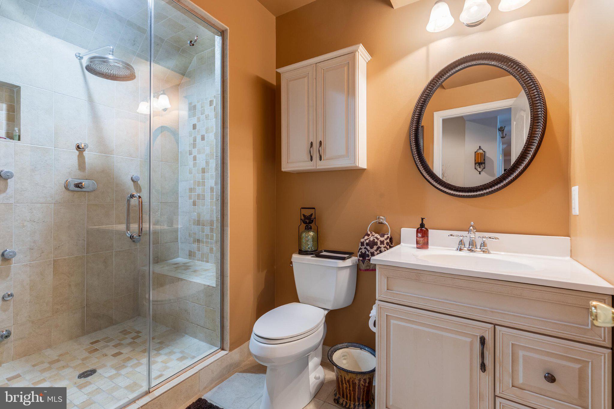 25554 Mimosa Tree Court Chantilly, VA 20152 - Photo 72 of 85 a bathroom with a sink a toilet and a mirror