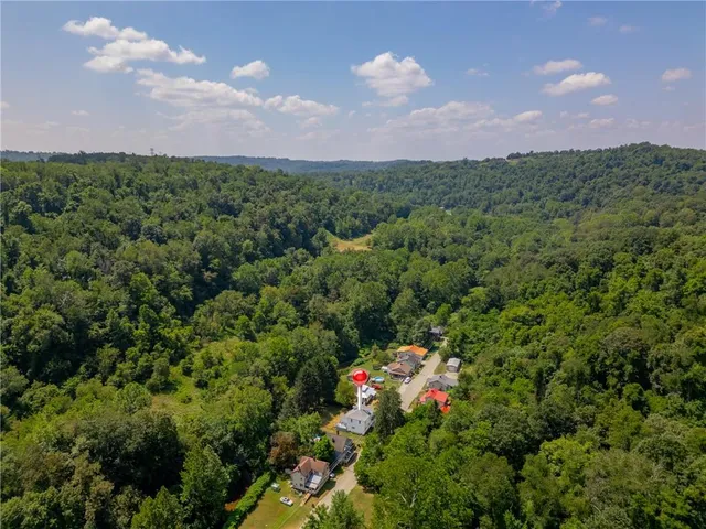 a view of a city with lush green forest