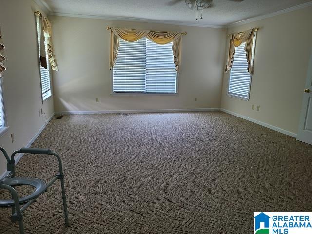 2161 Glover Road Quinton, AL 35130 - Photo 11 of 20