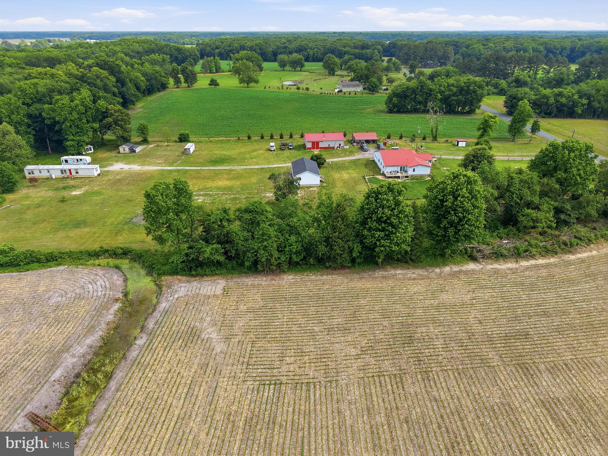 420 Duhamel Corner Road Marydel, MD 21649 - Photo 15 of 90