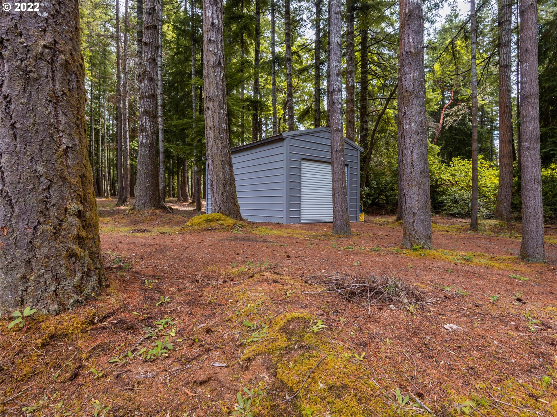 55815 Prosper Jct Road Bandon, OR 97411 - Photo 24 of 32 Shed