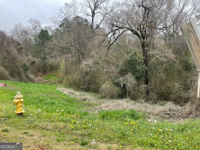 $21,000 | 111 Lockwood Street, Milledgeville, GA 31061