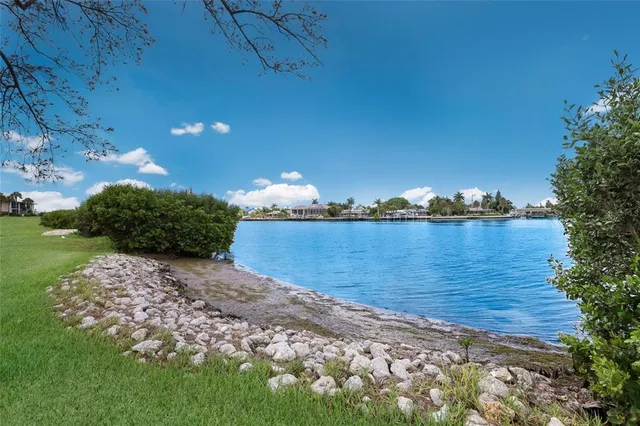 a view of a park with large trees