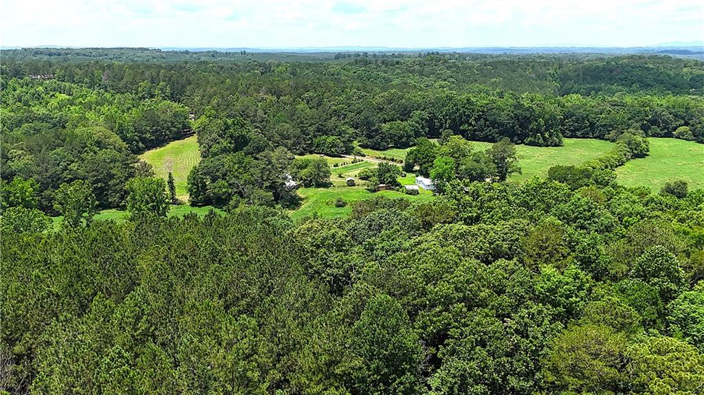 400 Kelley Road Tallapoosa, GA 30176 - Photo 7 of 52 a view of a green field with lots of bushes