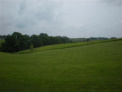 620 Dry Ridge Mt Zion Road Dry Ridge, KY 41035 - Photo 3 of 8