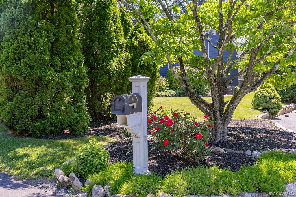 22 Braemer Road Setauket, NY 11733 - Photo 8 of 45 Custom Mailbox