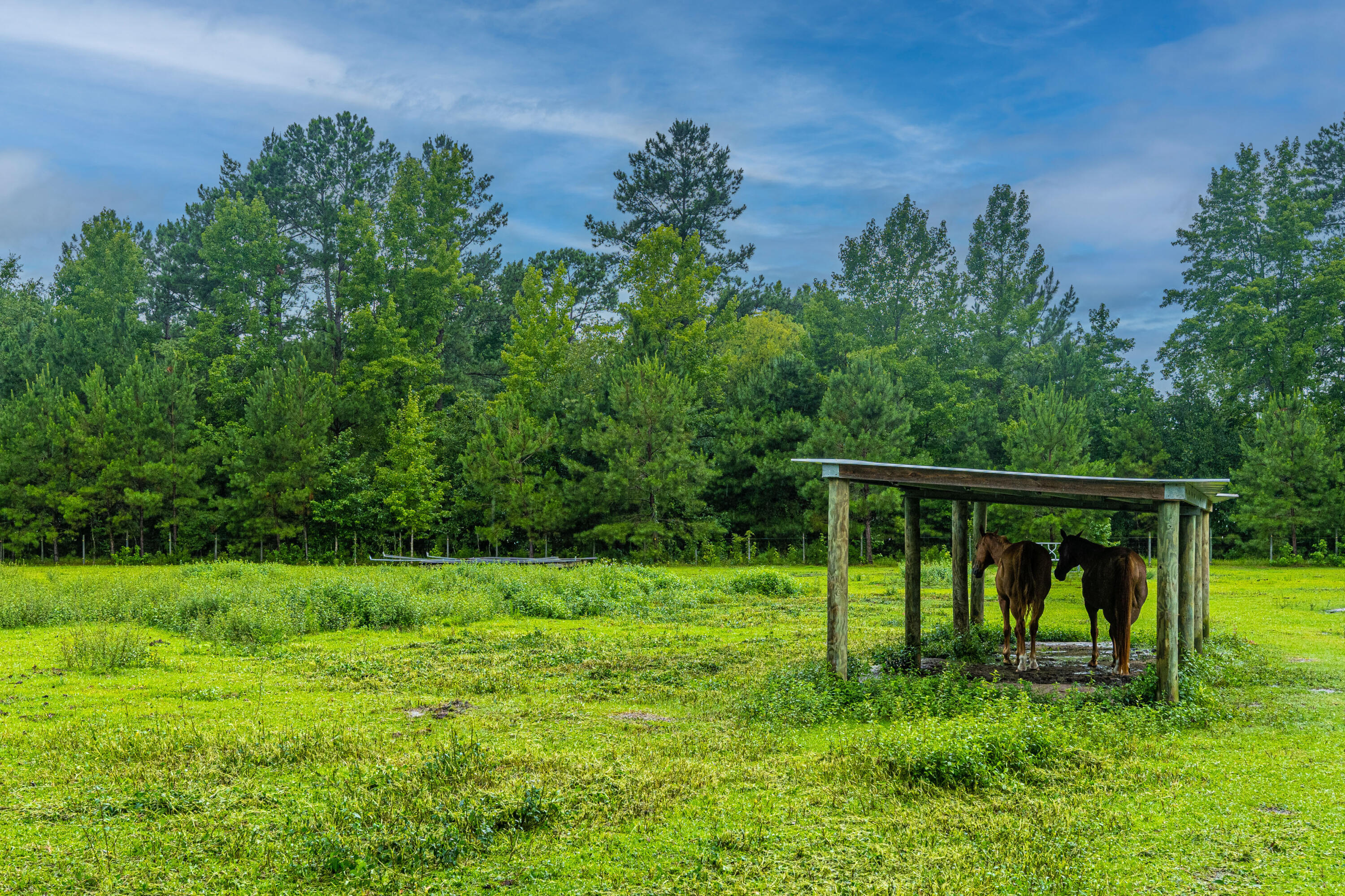 407 Jet Ridge Road Holly Hill, SC 29059 - Photo 33 of 60 407JetRidgeRd30
