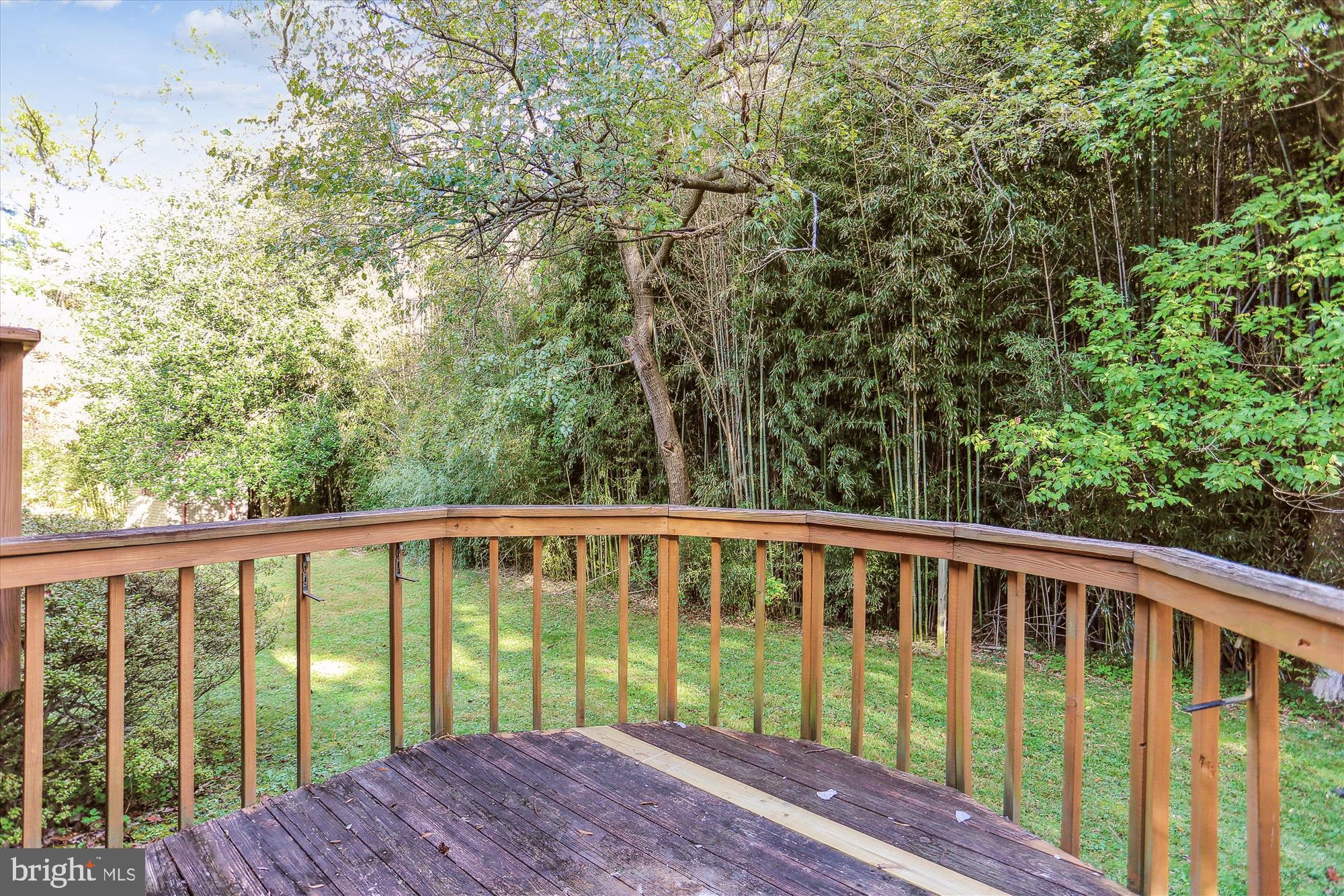 816 Olive Drive Silver Spring, MD 20905 - Photo 31 of 72 Deck off of Primary bathroom