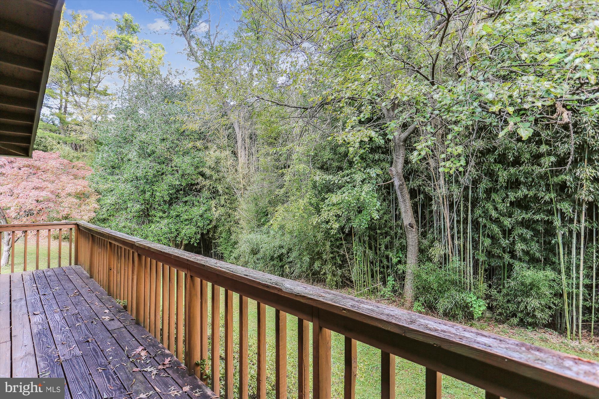 816 Olive Drive Silver Spring, MD 20905 - Photo 48 of 72 Deck off of side of home