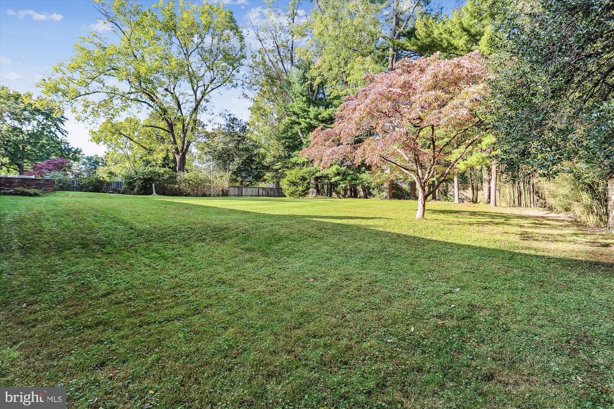 816 Olive Drive Silver Spring, MD 20905 - Photo 61 of 72 Rear yard