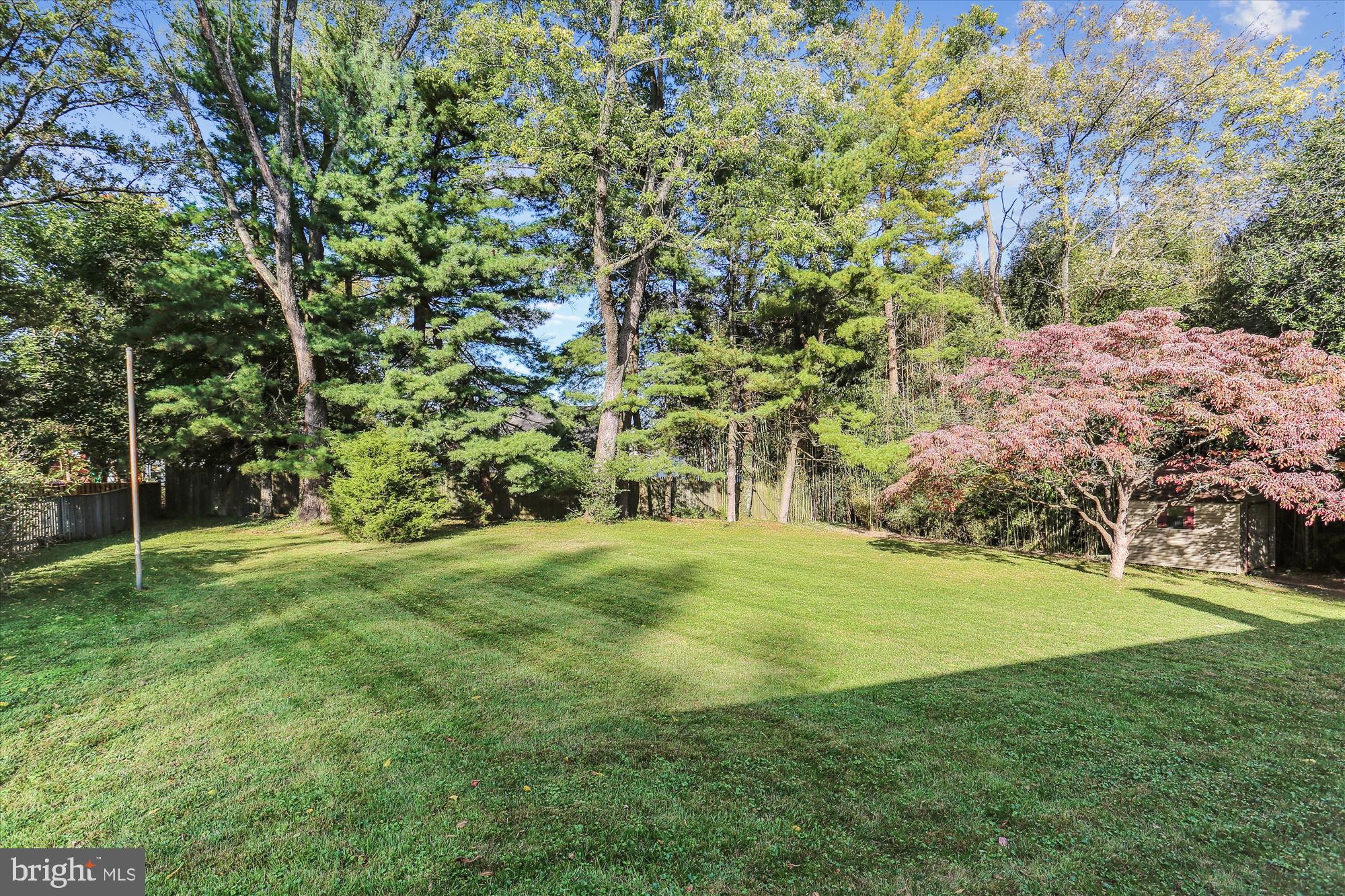 816 Olive Drive Silver Spring, MD 20905 - Photo 62 of 72 Rear yard