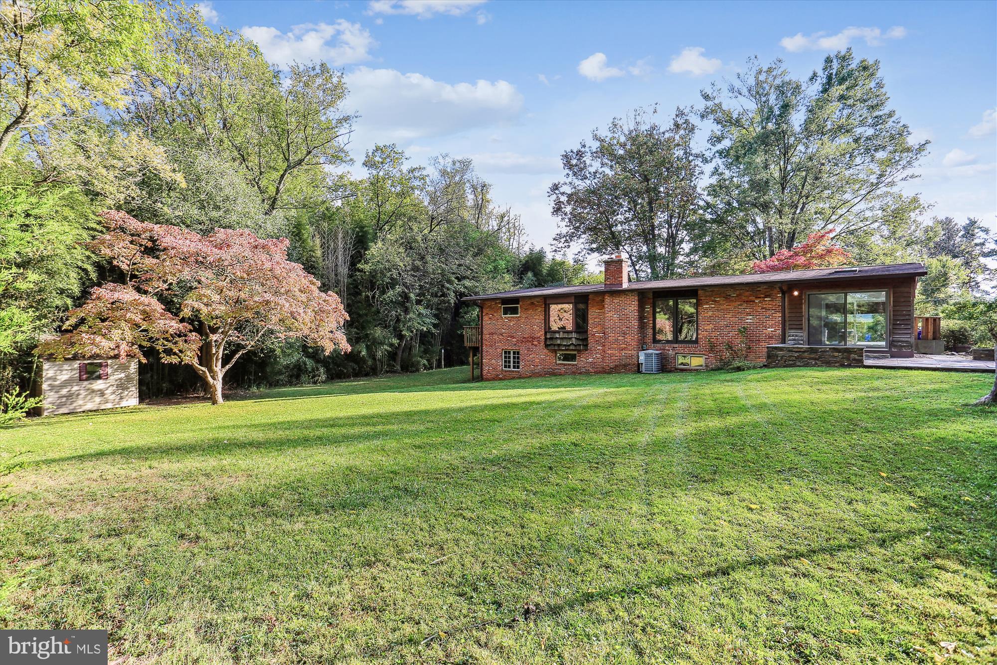 816 Olive Drive Silver Spring, MD 20905 - Photo 63 of 72 View of back yard