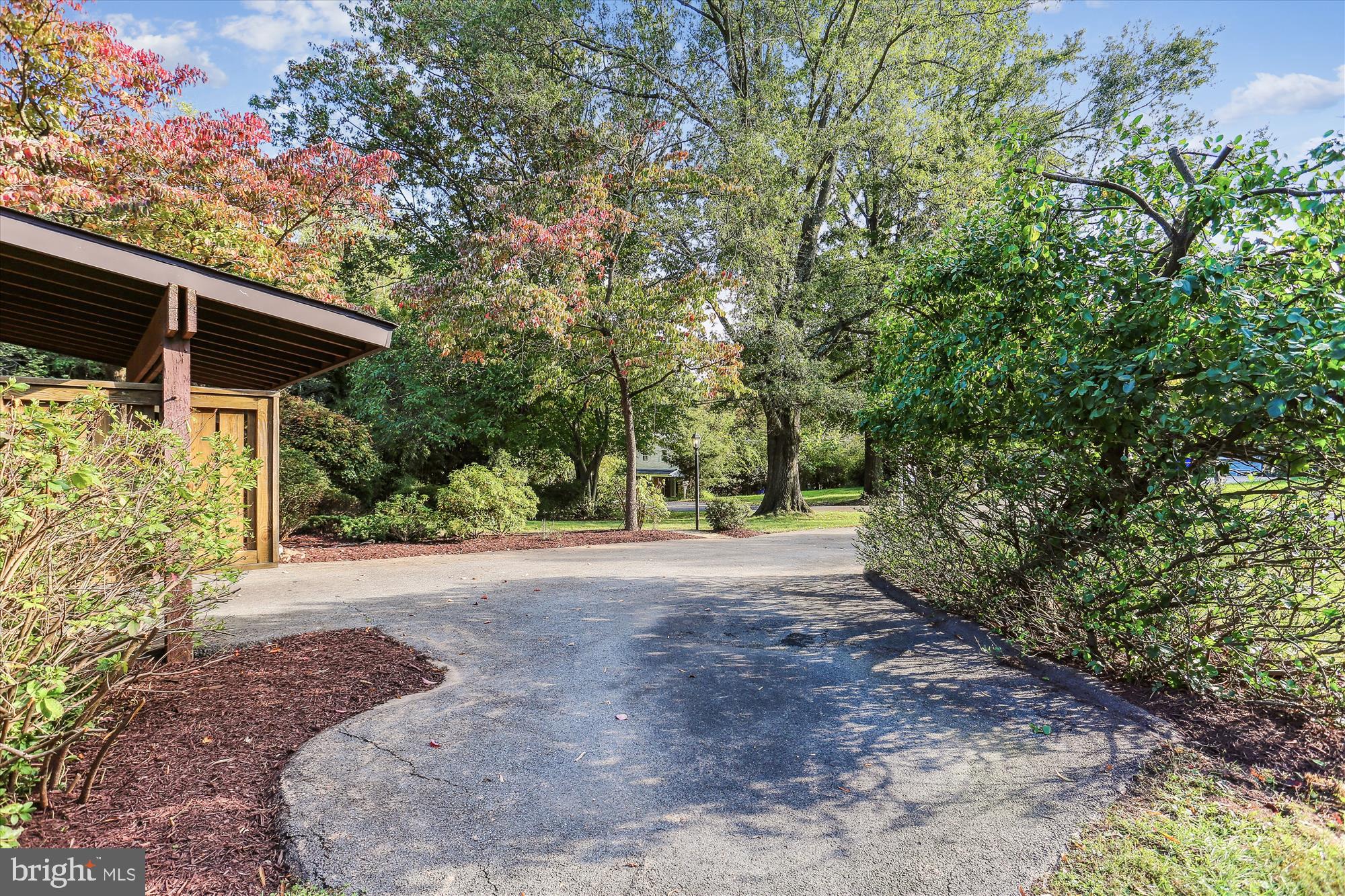 816 Olive Drive Silver Spring, MD 20905 - Photo 65 of 72 Ample parking