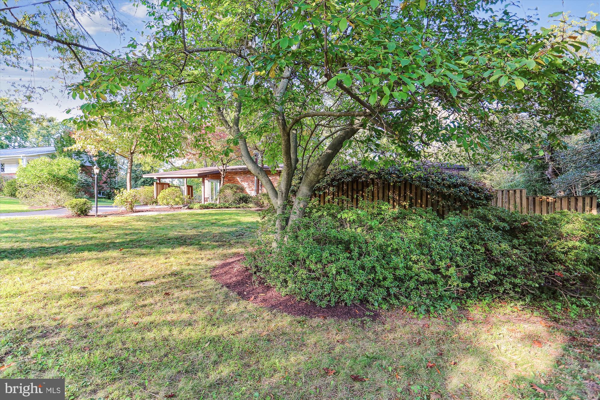 816 Olive Drive Silver Spring, MD 20905 - Photo 66 of 72 Front yard