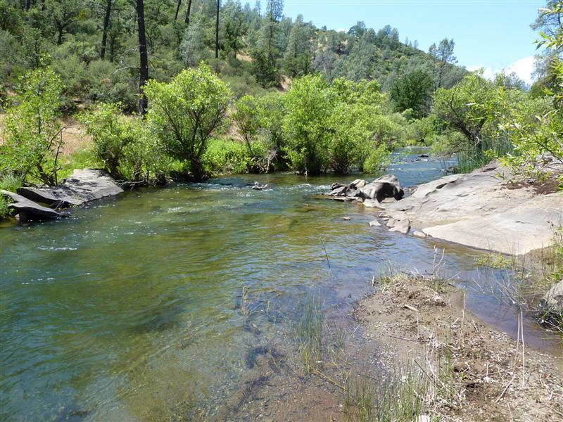 229 Yolla Bolly Road Igo, CA 96047 - Photo 4 of 22 a view of a lake with a yard