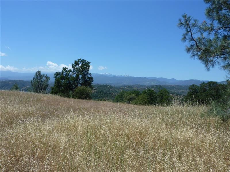 229 Yolla Bolly Road Igo, CA 96047 - Photo 8 of 22 a view of a field with a tree