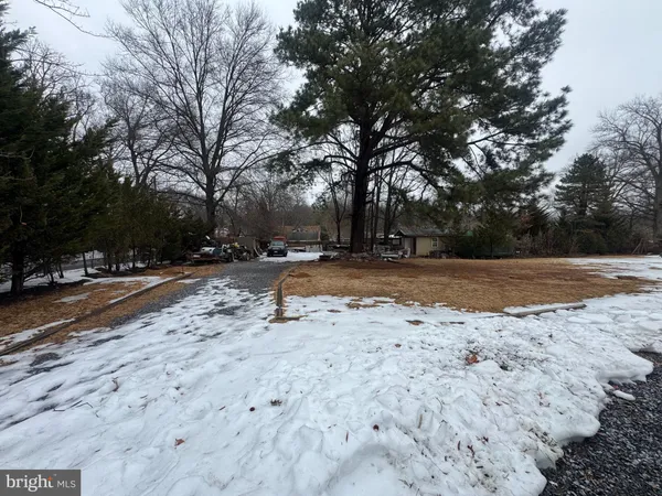a view of road with trees