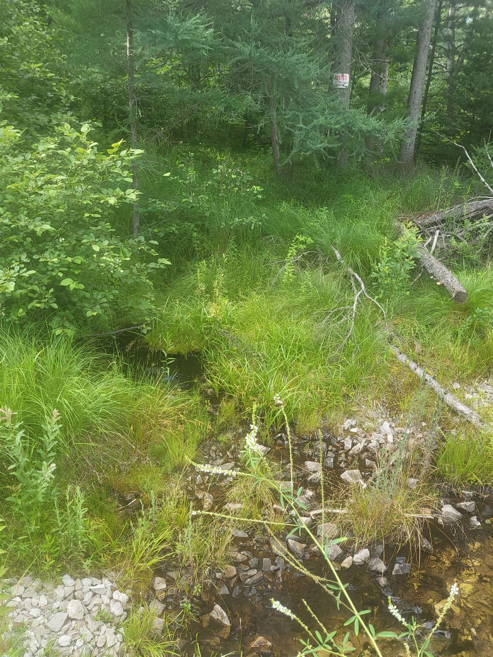 0 Curtis Road Hale, MI 48739 - Photo 8 of 24
